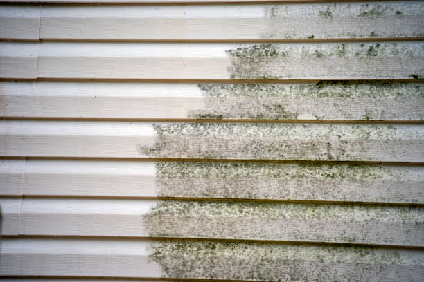 Best Custom Trim and Detailing for Siding  in Twin Rivers, NJ