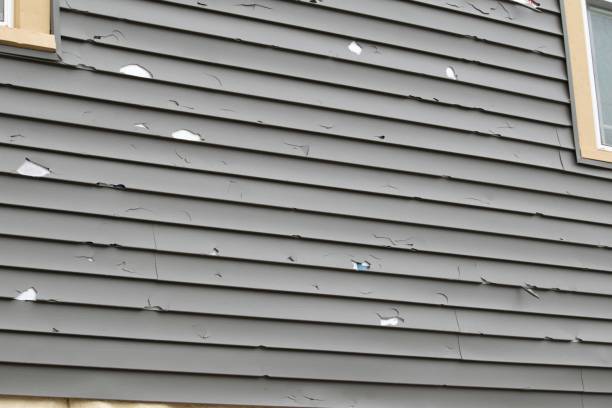 Best Residential Vinyl Siding Installation  in Twin Rivers, NJ